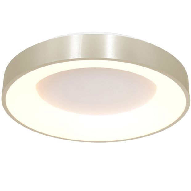 Plafondlamp Ringlede 2563ZI Zilveren LED lamp Ø48cm