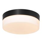 Ceiling lamp Ikaro 1364ZW Black