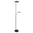 Floor lamp Zenith 7860ZW Black Light color adjustable