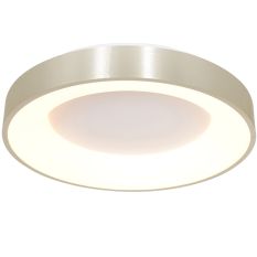 Plafondlamp Ringlede 2563ZI Zilveren LED lamp Ø48cm