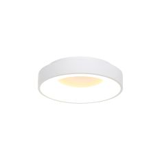 Plafondlamp Ringlede 3086W Witte LED lamp Ø30cm