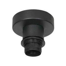 Black ceiling lamp Bloeba 4129ZW without lampshade