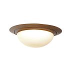Ceiling lamp Ikaro 1365BR Bronze Ø24cm 4 steps dimmable