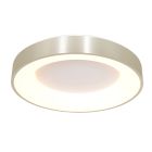 Plafondlamp Ringlede 2562ZI zilveren LED lamp Ø38 cm