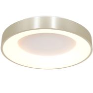 Plafondlamp Ringlede 2563ZI Zilveren LED lamp Ø48cm