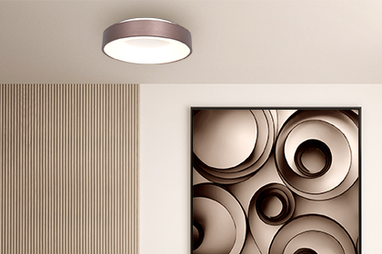 Ceiling lights